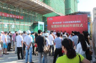 天涯新生 原水泥厂生活区棚改安置房样板间璀璨绽放